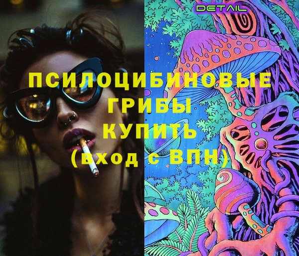 а пвп мука Абаза