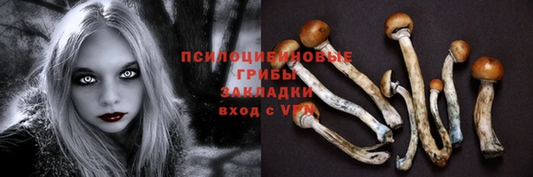 а пвп мука Абаза