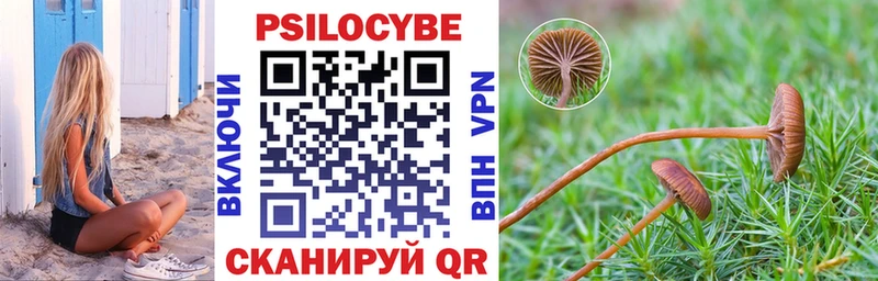 Галлюциногенные грибы мицелий  Вилюйск 